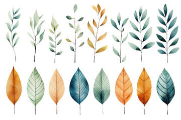 Obrazy  Leaf Patterns Set