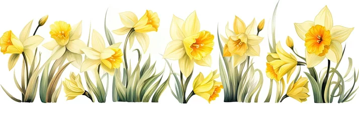 Foto op Plexiglas anti-reflex Daffodil Set © DADA
