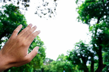 Fototapeta na wymiar A man's hand looks up to the sky around the green trees