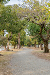 紅葉し始めた秋の散歩道