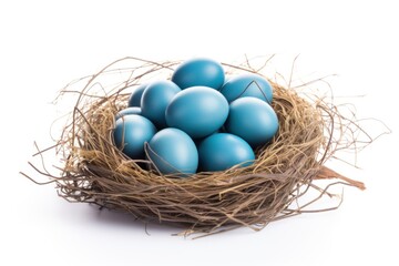 Naklejka na ściany i meble Nest with blue eggs isolated on white background