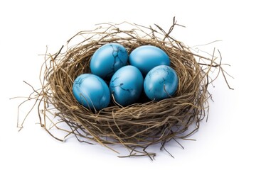 Obraz premium Nest with blue eggs isolated on white background