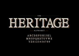 Vector of stylized modern font and alphabet