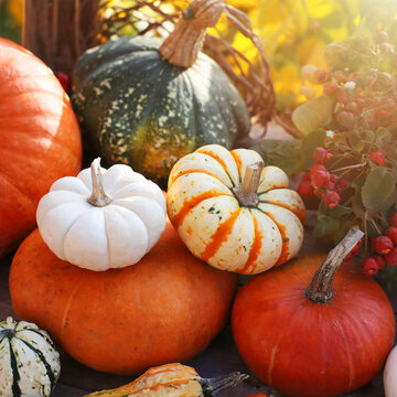 pumpkins at the autumn market. AI generated Images