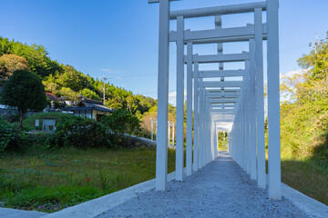済渡寺の千本鳥居の風景
