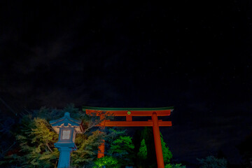 霧島神宮一の鳥居の夜景（霧島市）