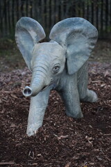 elephant in the garden