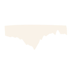 pieces of torn paper