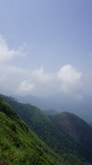 Fototapeta na wymiar Beautiful dense green lush landscapes of kodaikanal hillstation filled with mist and cloudy sky.