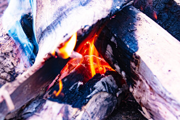 Close-up of bonfire created from log fire. Orange-red flames blazed fiercely on pile of wood and charcoal. Light fire to cook food in forest. Camping ideas in forest or on beach.