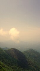 Obraz premium Beautiful dense green lush landscapes of kodaikanal hillstation filled with mist and cloudy sky.