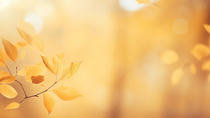 Naklejka na ściany i meble Beautiful blurred gentle natural light autumn background.