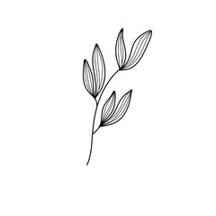 Minimalist Branches and leaves