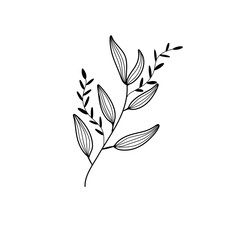 Minimalist Branches and leaves