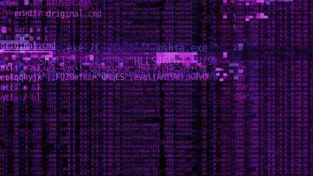 Code and data on computer scree