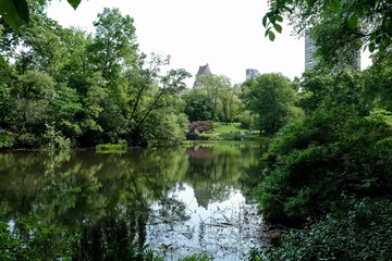 View of The Pond, one of seven bodies of water in Central Park located near Grand Army Plaza, across Central Park South from the Plaza Hotel, and slightly west of Fifth Avenue. Manhattan, NYC - Powered by Adobe