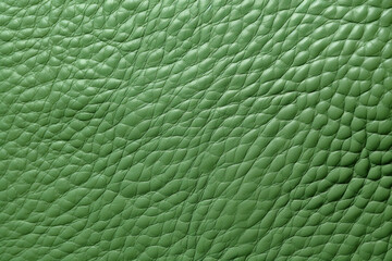 Fototapeta premium Close up dark light green leather texture, background.