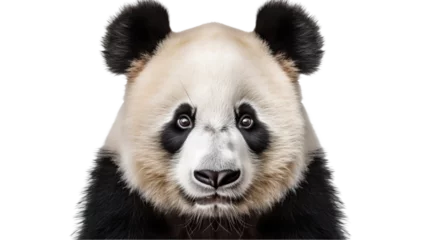 Zelfklevend Fotobehang panda face shot isolated on transparent background cutout  © Pixel Town