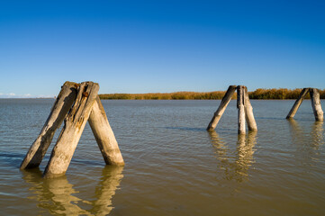 Fototapeta premium Wooden Mooring Posts