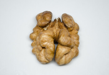 walnut on a white background; It is a scene of nature from high atlas morocco
