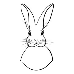 Elegant hand drawn of rabbit