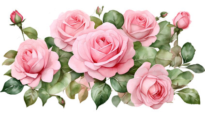 Watercolor pink roses flowers arrangement with green leaves. Flower elements for decoration. 