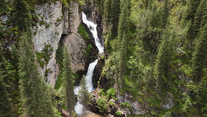 waterfall in the forest