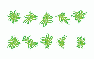 collection of green leaves, leaf vector design, leaf and flowers design vector 