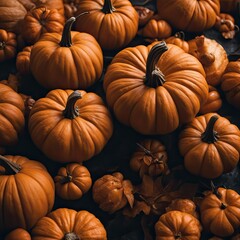 Close up pumpkins