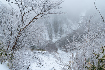 積雪した山を歩く　富士見台高原