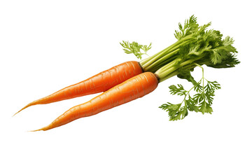 Carrot Transparent