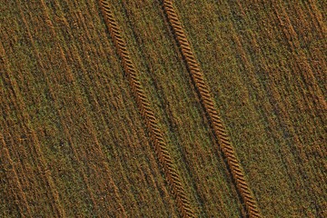 Picture of an aerial view of a field with tractor tracks