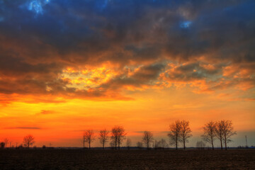 Landscape sundown in river valley, Poland Europe, amazing red sky and trees autumn time Poland Europe