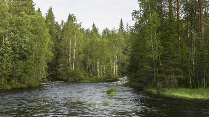 Finnish Karelia is a beautiful country full of forests and lakes.