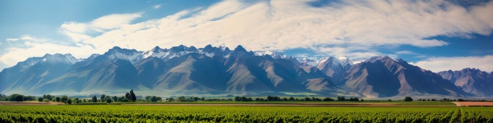 Fototapeta premium Scenic Andes Mountains with Stunning Vineyards in Lujan de Cuyo, Mendoza.