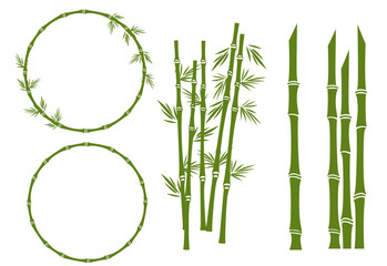 Fototapeta na wymiar Bamboo flat vector illustration