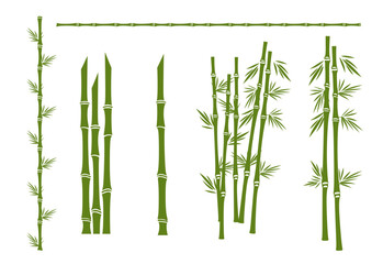 Bamboo flat vector illustration