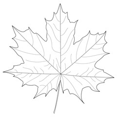 Childrens coloring books, Autumn maple leaves, fall