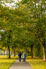 Obraz premium German autumn 2023