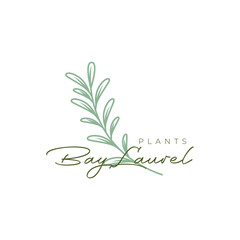bay laurel plant leaves feminine florist gardening botanical nature farm logo design vector icon illustration