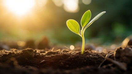 life in the garden  generated by AI