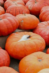 
pumpkins laid out next to each other on the ground with rainwater in one of them in the shape of a heart