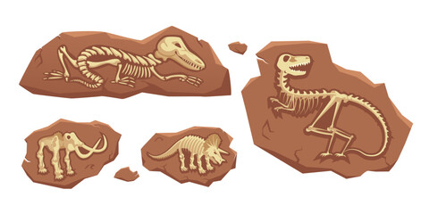 Dinosaur fossil vector illustration set. Cartoon isolated jurassic dino character silhouette inside underground stone, skeleton bones and skull of prehistoric dead animal, old mesozoic extinct monster