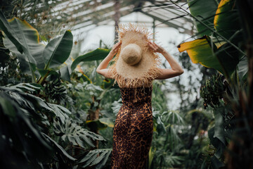 Back view of woman tourist in straw hat and leopard dress standing in palm greenhouse 