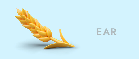 Realistic yellow spikelet, ear of wheat on blue background. Ripe grain. Natural ingredient for food and drink preparation. Vegan concept. Vector color template © ArtHub02