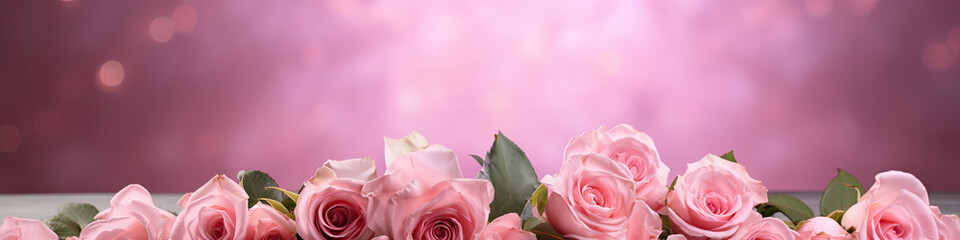 A picture of pink roses on the blurred pink background.