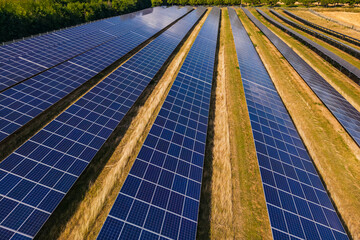 Feld mit Solartechnik zur Stromerzeugung bei Sonnenschein