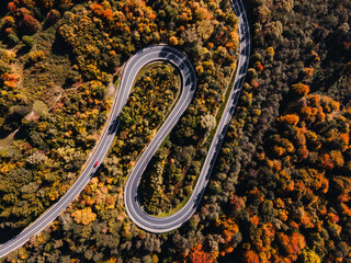 Serpentine, winding road in autumn