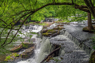 Waterfall at Old Stone Forst State Park in Tennesse.