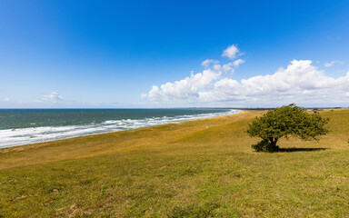 Windy summer day at Skolbacken near Trelleborg beach in the south of Sweden